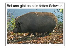 Fettes-Schwein-1.pdf